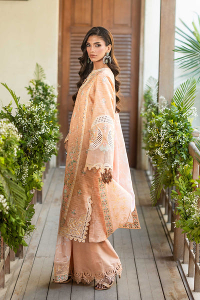 Akbar Aslam Elin back view