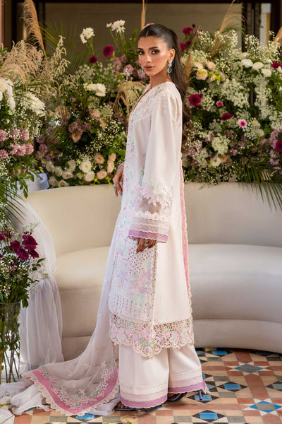 Akbar Aslam Rihal back view