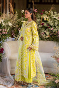 Akbar Aslam Surai back view