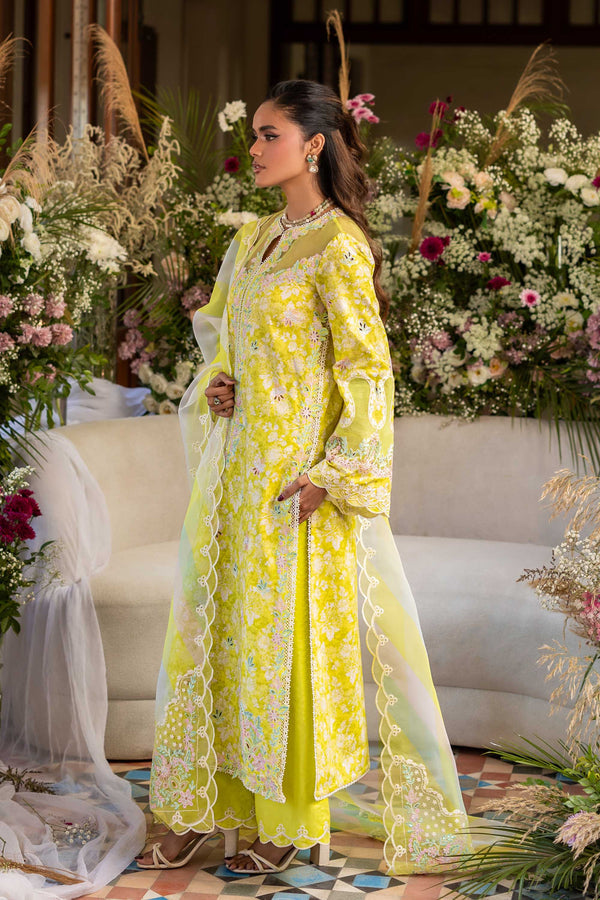 Akbar Aslam Surai back view