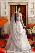 Akbar Aslam Safina back view