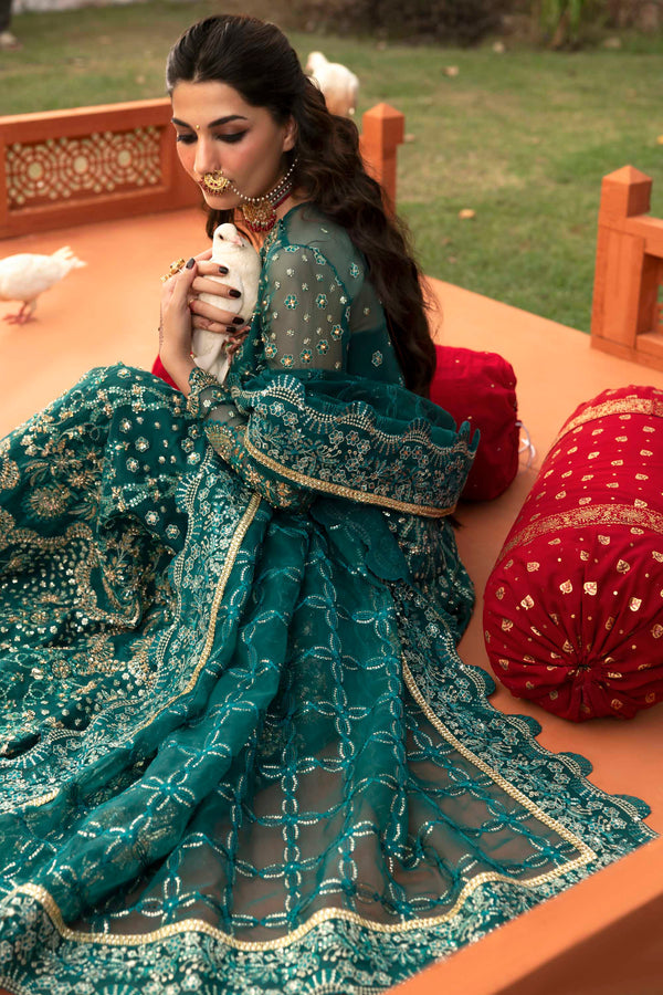 Akbar Aslam Gulnar back view