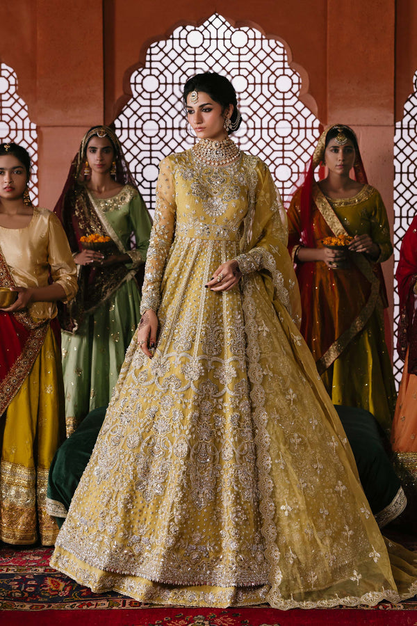 Akbar Aslam | Sultania Luxury Formals 25 | Roshanara - House Of Hania