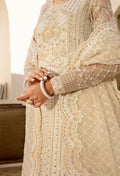 Akbar Aslam Tyla additional view