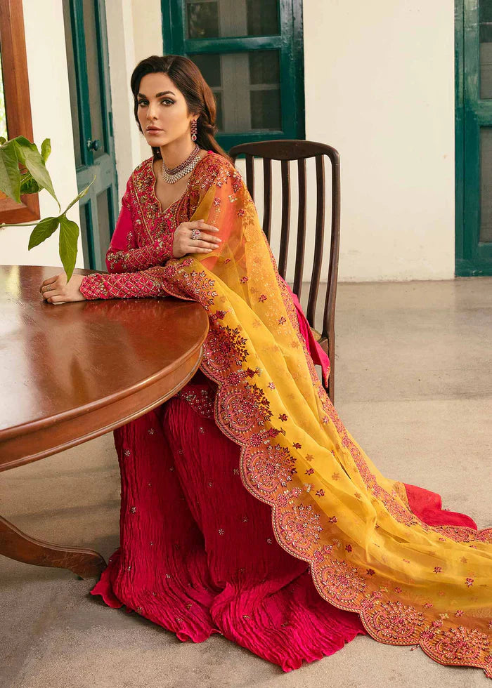 Akbar Aslam_AMRIX - House Of Hania