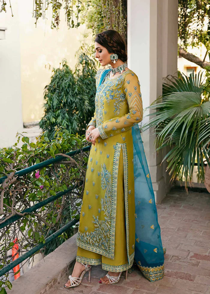 Akbar Aslam_DAVINA - House Of Hania
