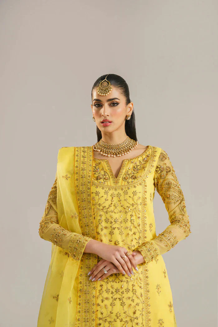 Akbar Aslam_HAREEM - House Of Hania