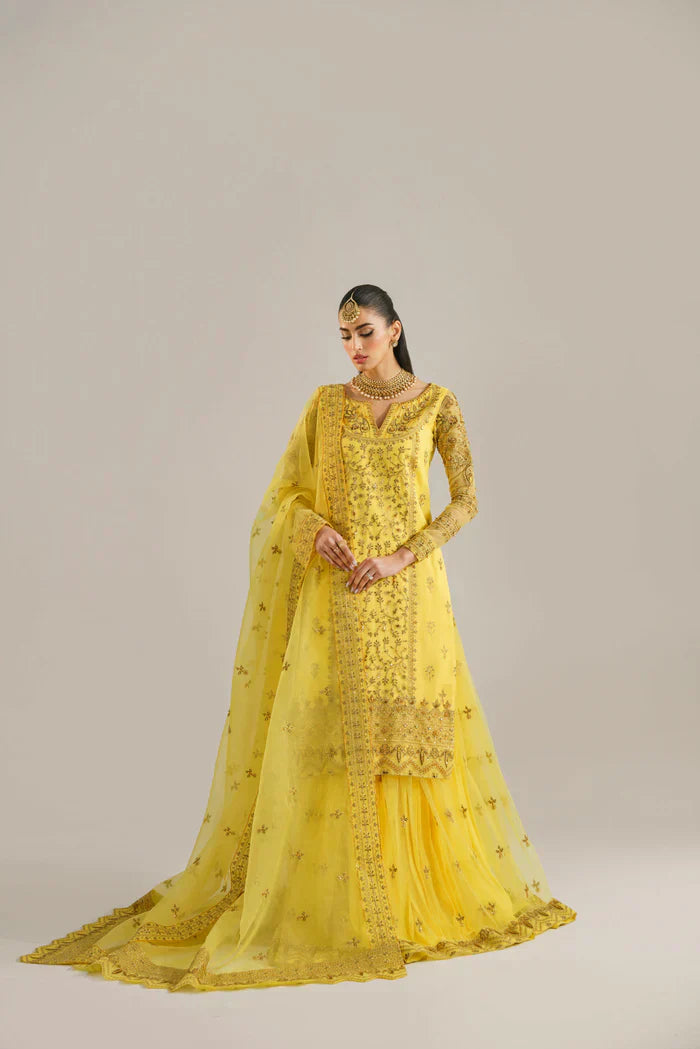 Akbar Aslam_HAREEM - House Of Hania