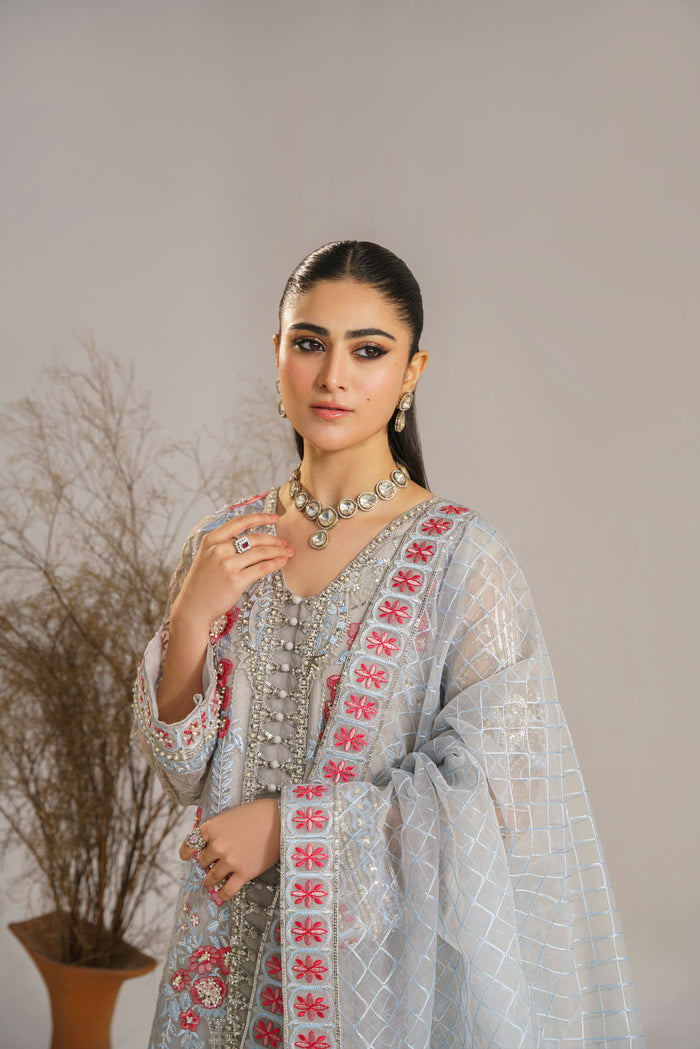 Akbar Aslam_MIRZA - House Of Hania
