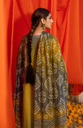 Al Zohaib | Bandhani The Tale of Jaipur 25 | BTJ-25-08 - House Of Hania