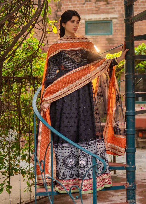 Ali Xeeshan | Chanda Luxury Pret | Bano - House Of Hania