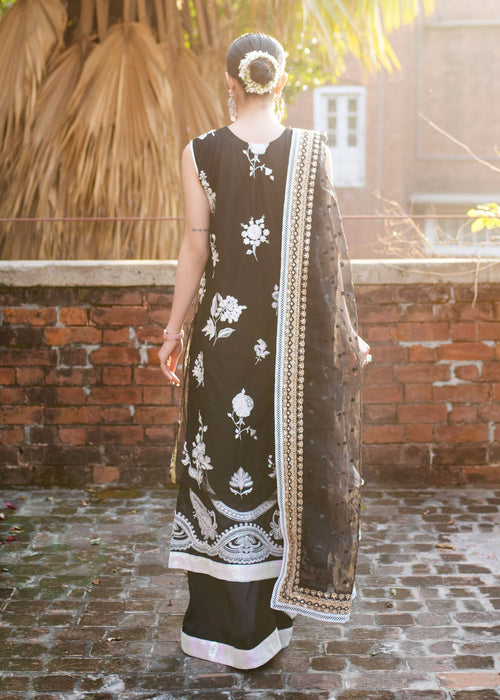 Ali Xeeshan | Chanda Luxury Pret | Domino - House Of Hania