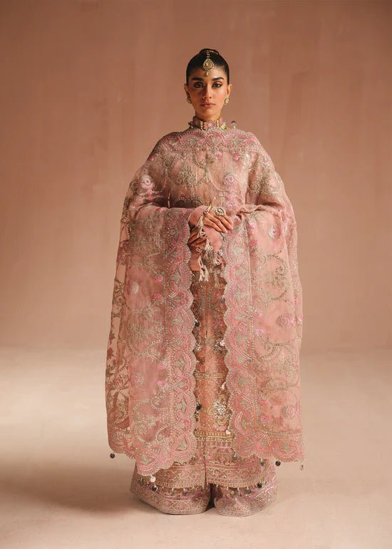 Ali Xeeshan | Prime Time Formals | Aarohi - House Of Hania