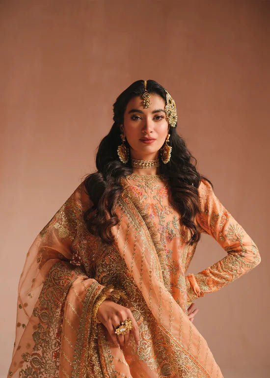 Ali Xeeshan | Prime Time Formals | Rubab - House Of Hania