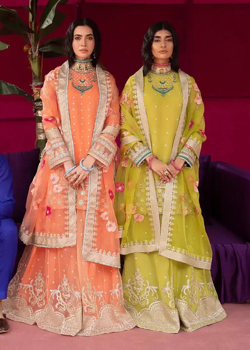 Ali Xesshan | Bhaag Lagay Rain | ANGORI BAGH – LP-010 - House Of Hania