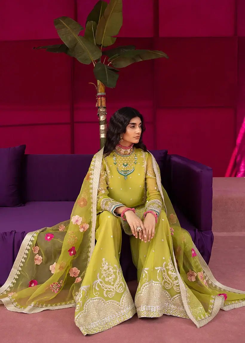 Ali Xesshan | Bhaag Lagay Rain | ANGORI BAGH – LP-010 - House Of Hania