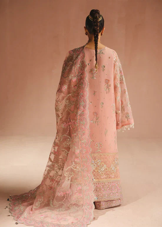 Ali Xeeshan | Prime Time Formals | Aarohi - House Of Hania