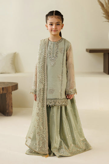 Alizeh | AYMAL V4 - LUXURY BAMBER CHIFFON '26 | AFK-BCH-1010-Javi - House Of Hania