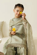 Alizeh | AYMAL V4 - LUXURY BAMBER CHIFFON '26 | AFK-BCH-1010-Javi - House Of Hania