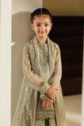 Alizeh | AYMAL V4 - LUXURY BAMBER CHIFFON '26 | AFK-BCH-1010-Javi - House Of Hania