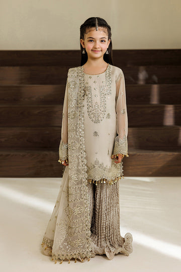 Alizeh | AYMAL V4 - LUXURY BAMBER CHIFFON '26 | AFK-BCH-1012-Navya - House Of Hania