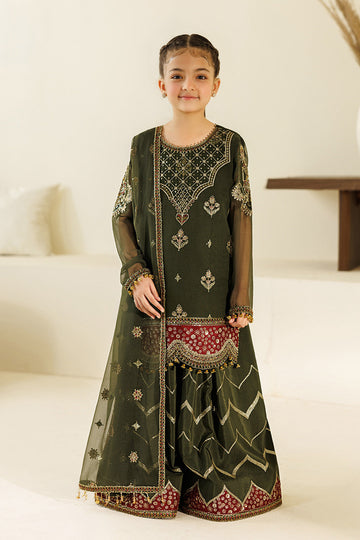 Alizeh | AYMAL V4 - LUXURY BAMBER CHIFFON '26 | AFK-BCH-1013-Hyan - House Of Hania