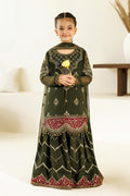 Alizeh | AYMAL V4 - LUXURY BAMBER CHIFFON '26 | AFK-BCH-1013-Hyan - House Of Hania