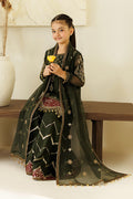 Alizeh | AYMAL V4 - LUXURY BAMBER CHIFFON '26 | AFK-BCH-1013-Hyan - House Of Hania