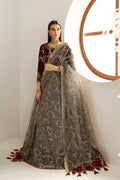 Alizeh | La Ruha Wedding Formals | AF-CH-2175-Esme - House Of Hania