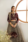 Alizeh | La Ruha Wedding Formals | AF-CH-2175-Esme - House Of Hania