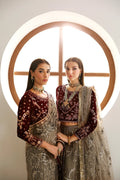 Alizeh | La Ruha Wedding Formals | AF-CH-2175-Esme - House Of Hania