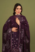 Alizeh | Luxe Raw Silk | AF-RS-09-Mulbery - House Of Hania