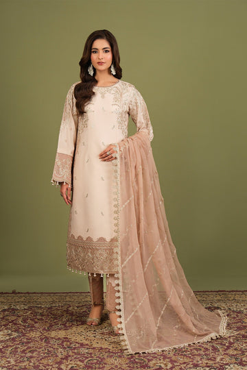 Alizeh | Luxe Raw Silk | AF-RS-10-Castor - House Of Hania