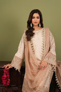 Alizeh | Luxe Raw Silk | AF-RS-10-Castor - House Of Hania