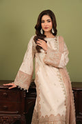 Alizeh | Luxe Raw Silk | AF-RS-10-Castor - House Of Hania