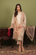 Alizeh | Luxe Raw Silk | AF-RS-10-Castor - House Of Hania