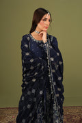 Alizeh | Luxe Raw Silk | AF-RS-11-Abaan - House Of Hania