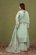 Alizeh | Luxe Raw Silk | AF-RS-15-Pearly - House Of Hania