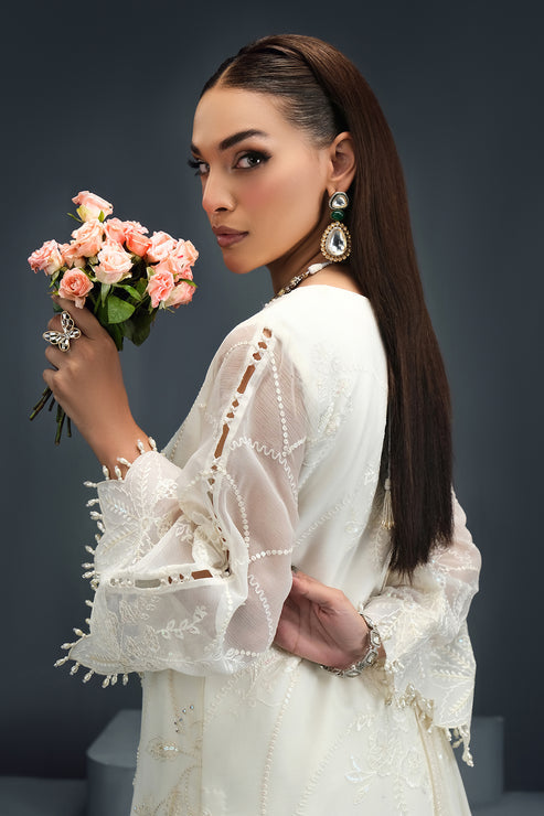 Alizeh | Reena Handcrafted 24 | Irma-Reena-V01D03 - House Of Hania
