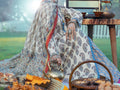 Almirah | Luxury Edit | AWP-3PS-574 - House Of Hania