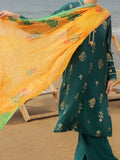 Almirah | Traditional Tale | ALP-3PS-2043 - House Of Hania