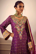 Annus Abrar | Melia Luxe Formals | Karen - House Of Hania
