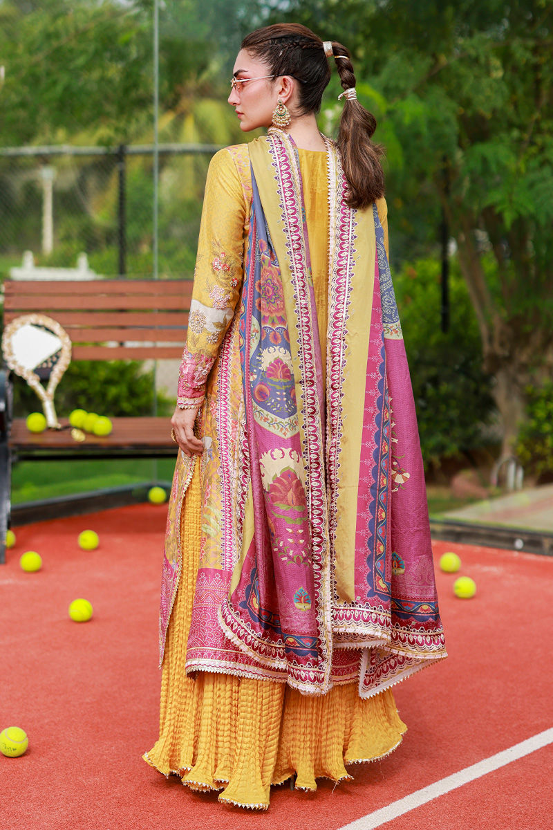 Aveline- Ansab Jahangir