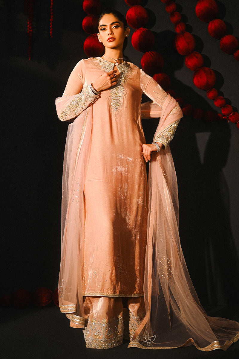 Ansab Jahangir | So Hot Luxury Velvets | Nooreh - House Of Hania