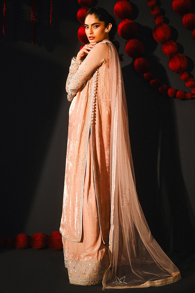 Ansab Jahangir | So Hot Luxury Velvets | Nooreh - House Of Hania
