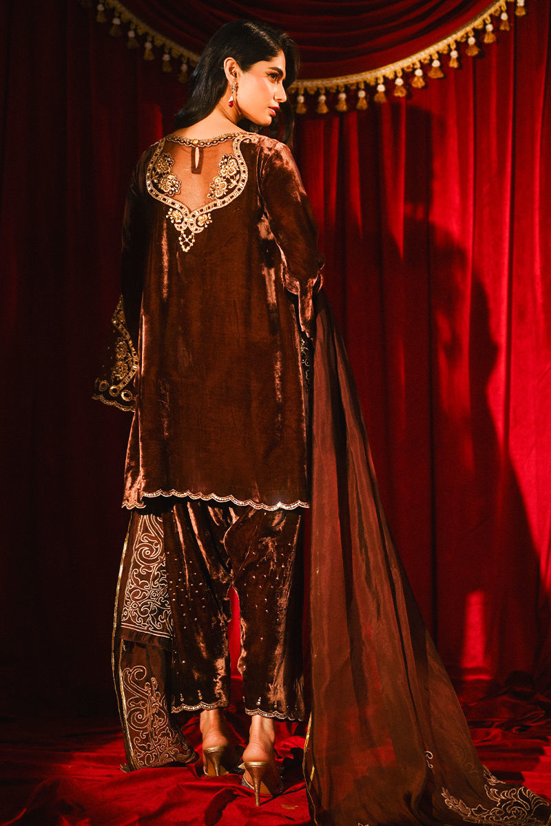 Ansab Jahangir | So Hot Luxury Velvets | Roshni - House Of Hania