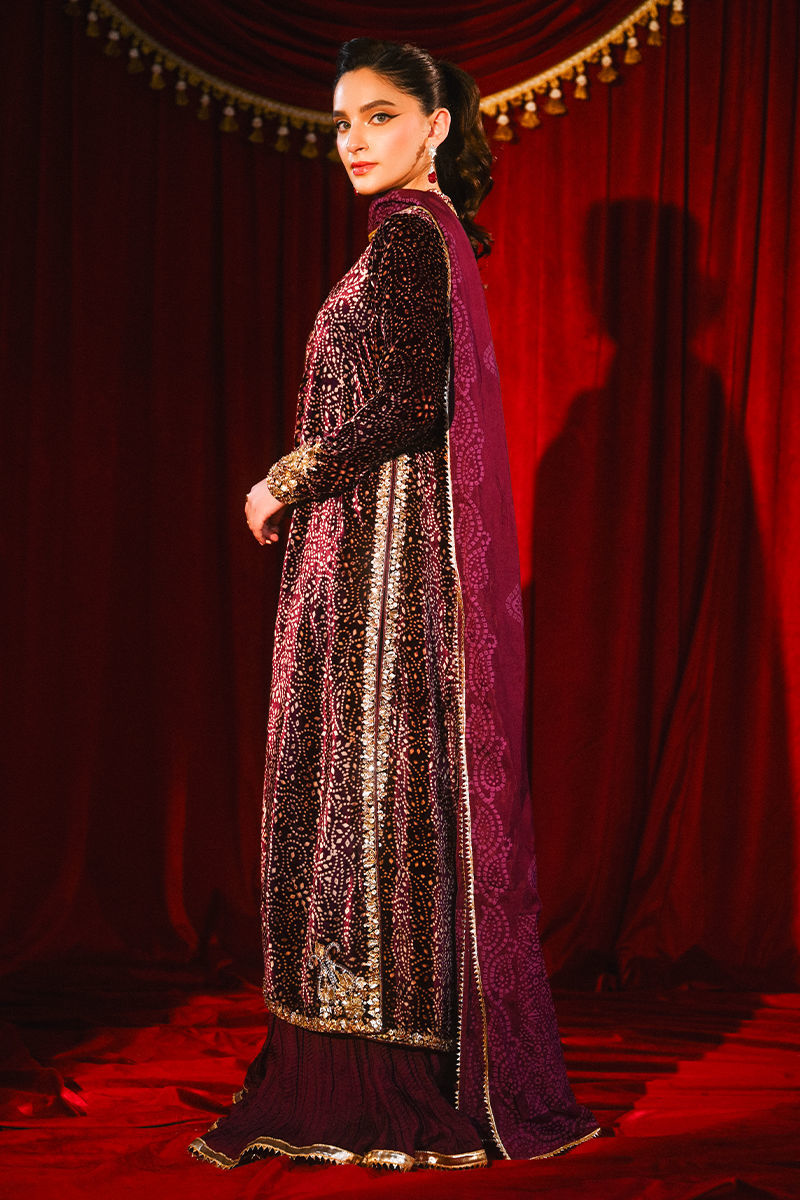 Ansab Jahangir | So Hot Luxury Velvets | Sabeen - House Of Hania