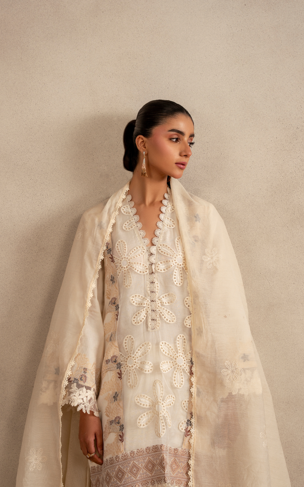 Asifa and Nabeel | Meraki SUmmer 26 | Cloud Nine MSSL-09 - House Of Hania