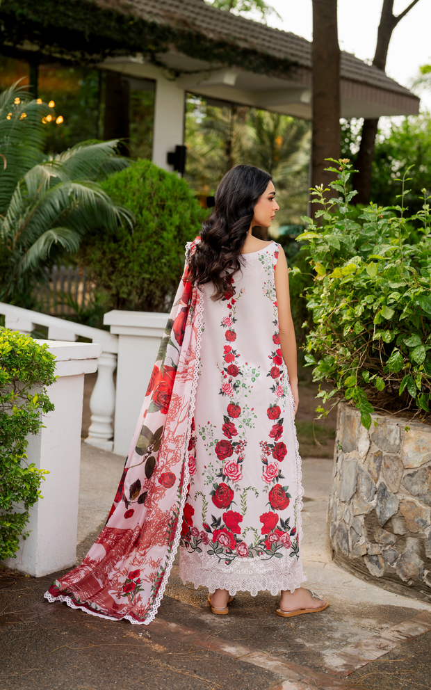 Asifa and Nabeel | Meraki SUmmer 26 | Gilded Rose MSSL-05 - House Of Hania