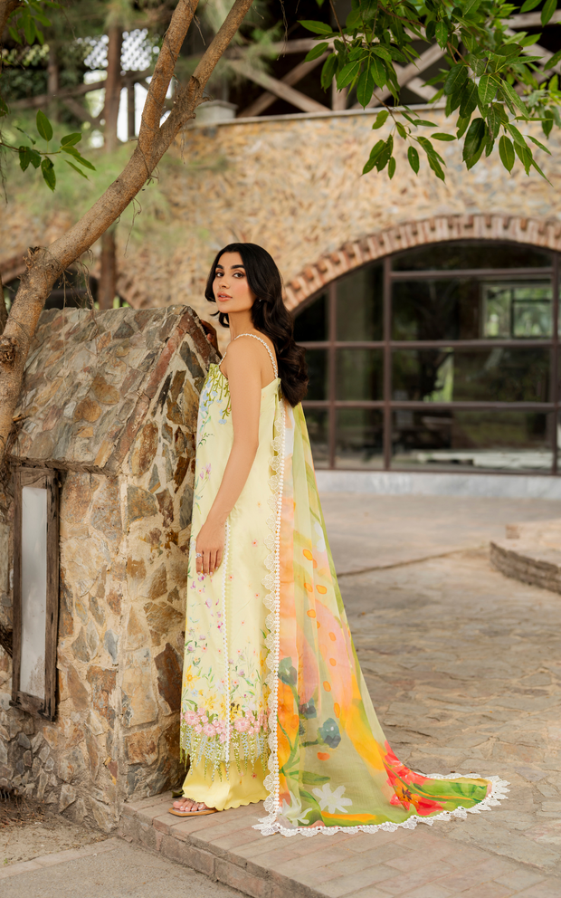 Asifa and Nabeel | Meraki SUmmer 26 | Orchid MSSL-01 - House Of Hania